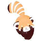 Panda パンダ Sticker