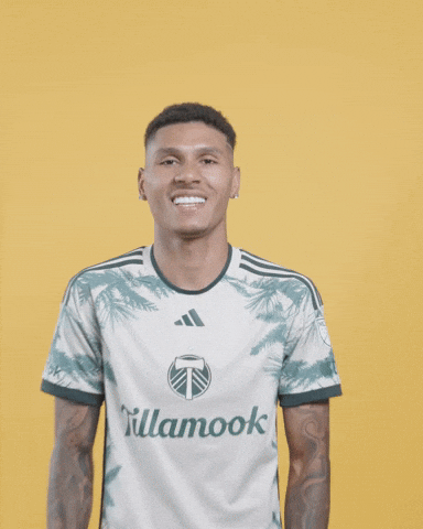 Mls Portland GIF by Timbers