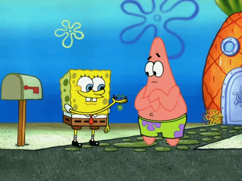 season 5 episode 3 GIF by SpongeBob SquarePants