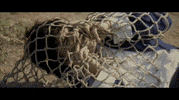 Skills Activate GIF
