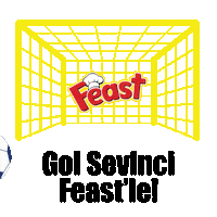 Futbol Top Sticker by Feast Gıda