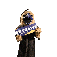 Graduation Colorado Sticker by Fort Lewis College