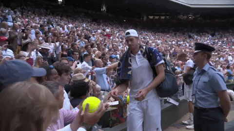 kevin anderson tennis GIF by Wimbledon