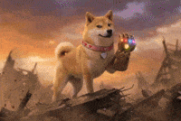 Dogegf Kindness GIF by DogeGF