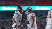 Razorback Football Celebration GIF by Arkansas Razorbacks