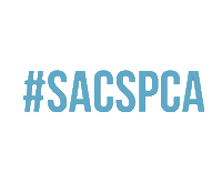 Sspca Sticker by Sacramento SPCA