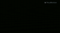 Stylish Icon Logo