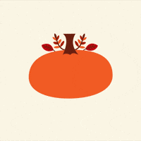 Fall Season Halloween GIF by Jessica Lau