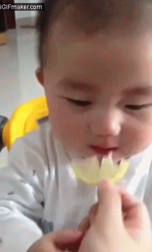 life taste GIF