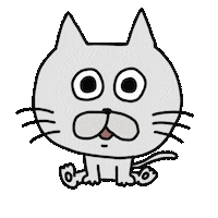 Cat What Sticker