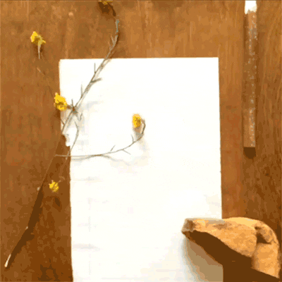 stop motion love GIF by Syco Entertainment