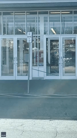 Deer Struggles to Escape Clothing Store's Entrance