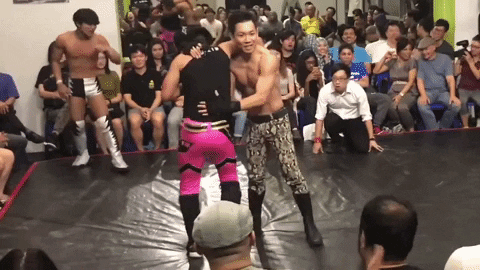 ladykiller giphygifmaker rock bottom rockbottom ladykiller GIF