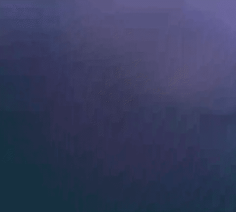 irlcam GIF by David