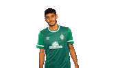 Fussball Sticker by SV Werder Bremen
