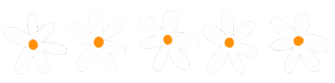 clairehammonddesign giphyupload flower flowers daisy Sticker