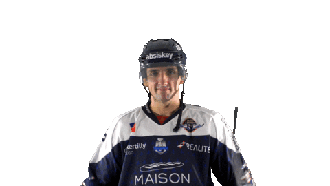 Hamill Sticker by Les Ducs d'Angers