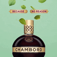 chambord cocktails GIF