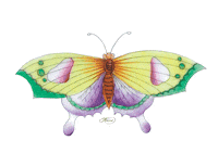 AntiquesandGardenShow butterfly ag ags antiques and garden show Sticker