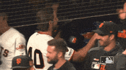 Major League Baseball Sport GIF by MLB