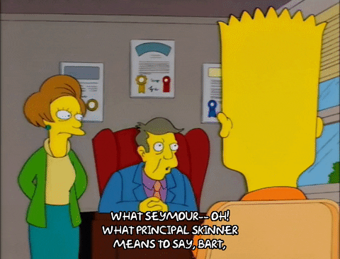 bart simpson principle skinner GIF