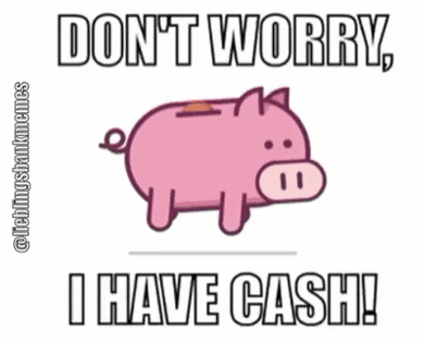 lieblingsbankmemes giphyupload money pig cash GIF