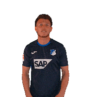 Dennis Geiger Sport Sticker by TSG Hoffenheim