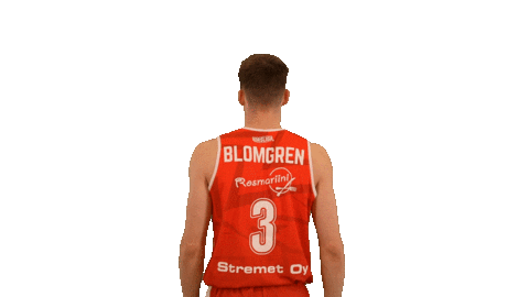 Sport Basketball Sticker by Basket_fi