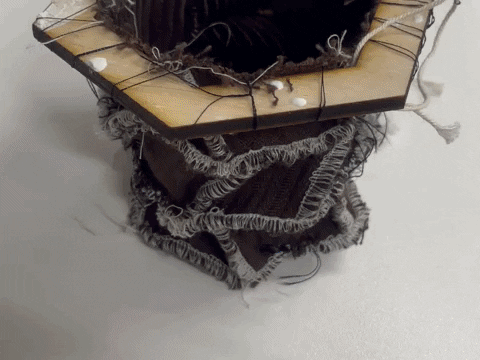 alicejsowa giphyupload GIF
