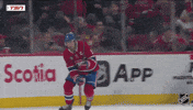 Happy National Hockey League GIF by NHL