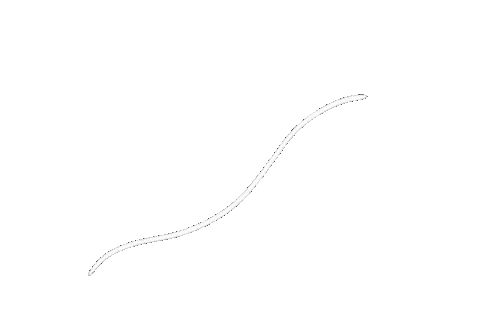 Line Shape Sticker