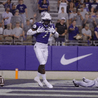 Celebration Hudson GIF by TCU Football