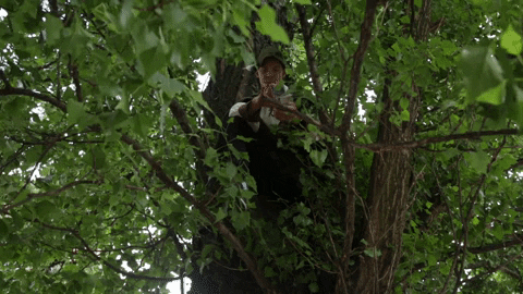GIF by WebTalk