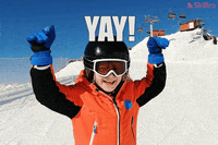 SkiBro skiing skibro GIF