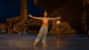 Enblecorsaire GIF by English National Ballet
