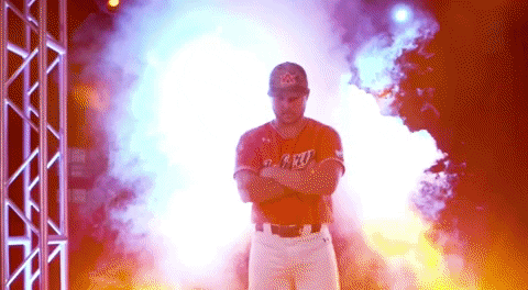 auburn tigers cws GIF by NCAA Championships