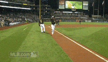 Pittsburgh Pirates Baseball GIF by MLB