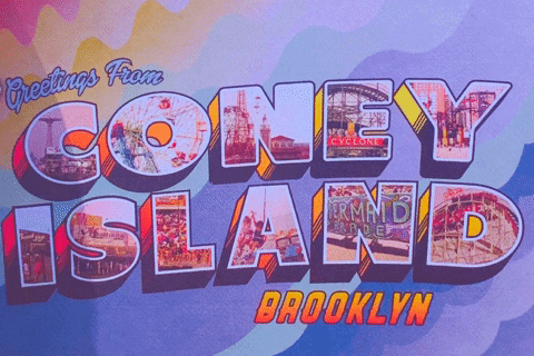 AllianceForConeyIsland giphygifmaker brooklyn coney island coney island fun GIF
