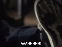 the mystery files of shelby woo nicksplat GIF