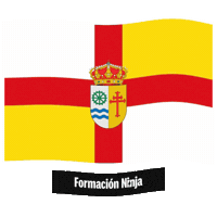 Castilla-La Mancha Bandera Sticker by Formación Ninja