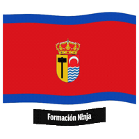 Castilla-La Mancha Bandera Sticker by Formación Ninja