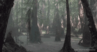 Martial Arts Cinema GIF by RETRO-FIEND