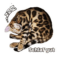 Sleepy Good Night Sticker by Kitty Fuchs