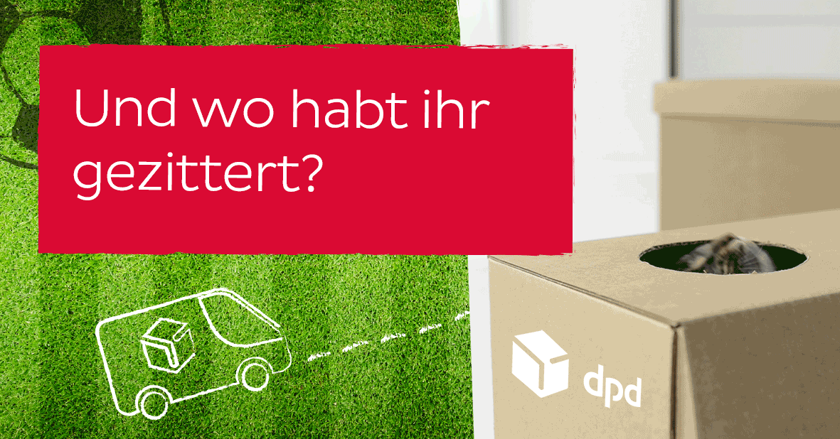 GIF by DPD Deutschland