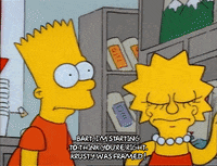 Season 1 GIF by The Simpsons