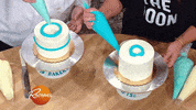 chocolate chip cake GIF by Rachael Ray Show