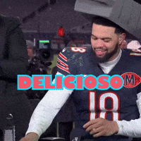 Chicago Bears GIF