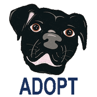 Dog Adopt Sticker by Muddy Paws Rescue NYC