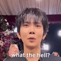What The Hell Hong Jisoo GIF