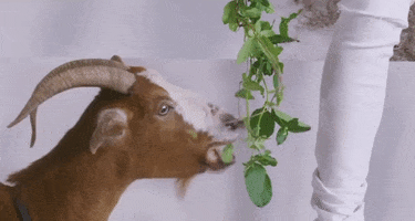 Emotionally Scarred GIF by Lil Baby